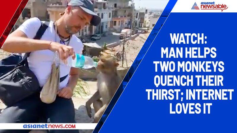 Watch Man helps two monkeys quench their thirst; internet loves it-tgy