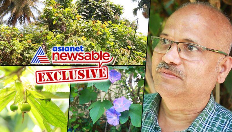 achiever The man who grew a mini forest on his terrace in Bengaluru - ycb