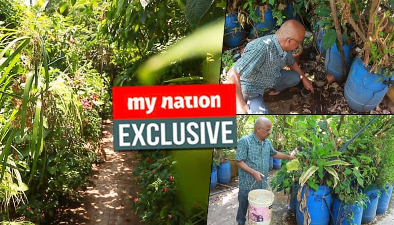 Bengaluru This is how you grow a mini forest on the terrace