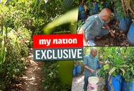 Bengaluru This is how you grow a mini forest on the terrace