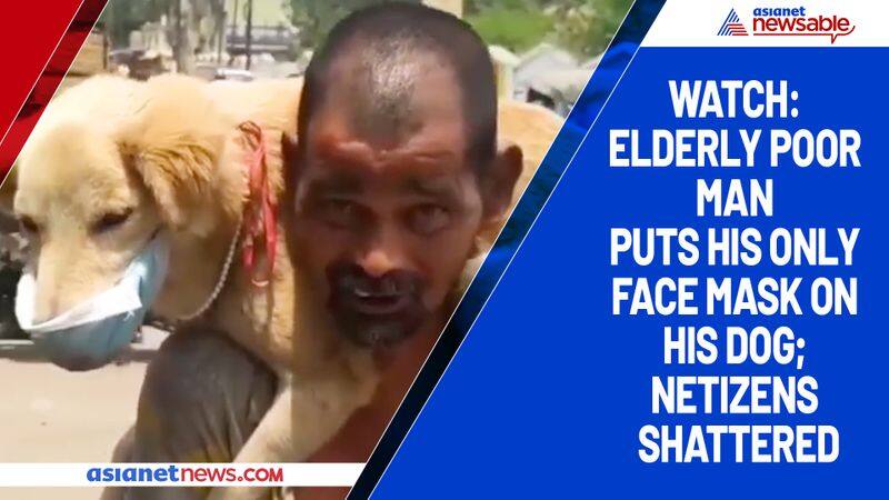 Watch Elderly poor man puts his only face mask on his dog; netizens shattered-tgy