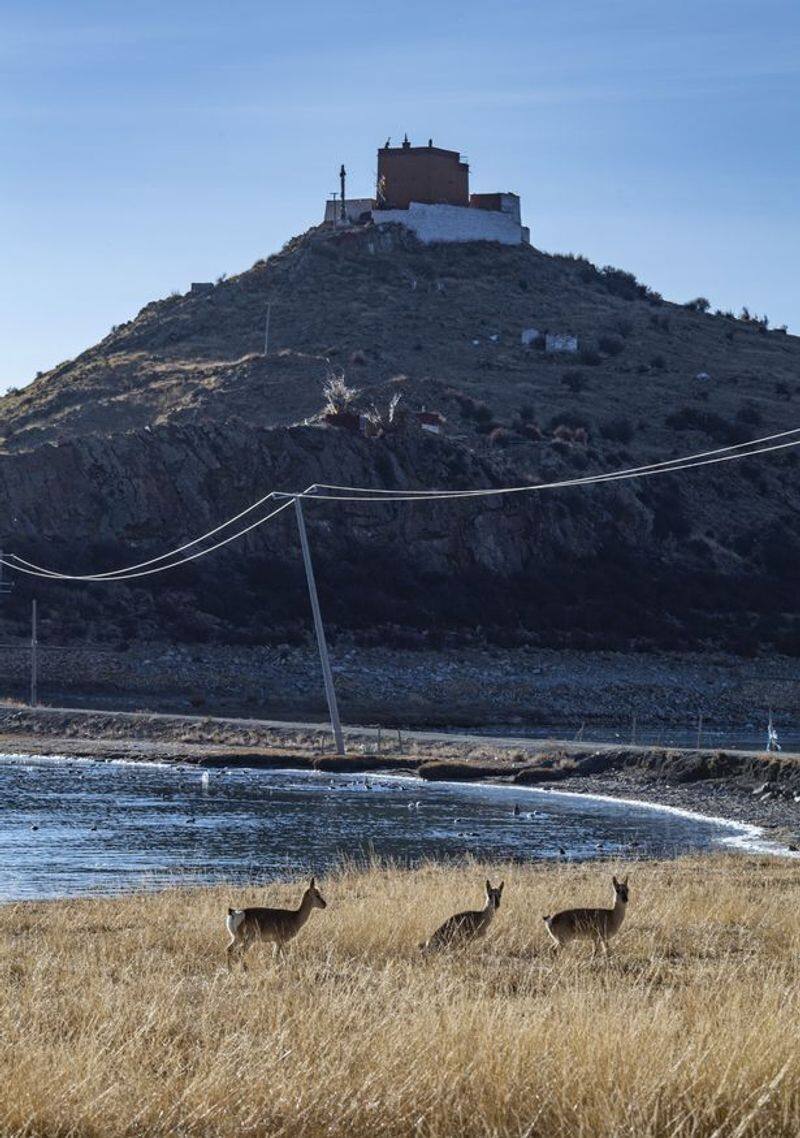 Rituo Temple and the loneliest monk in Tibet