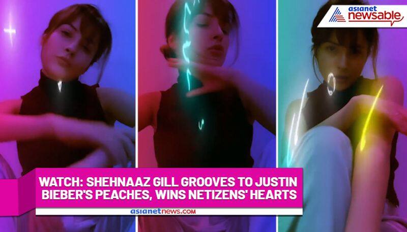 Watch Shehnaaz Gill grooves to Justin Bieber's Peaches, wins netizens' hearts-tgy