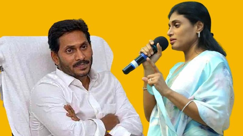  Y.S. Sharmila Appoints  Andhra Pradesh Congress chief, sets up battle with chief minister brother Jagan lns