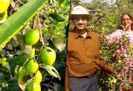 How an army officer took up farming after retirement, earning profitably