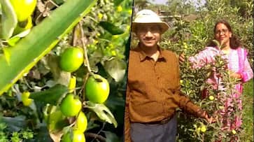 How an army officer took up farming after retirement, earning profitably
