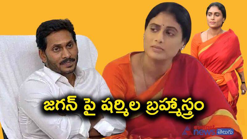 New weapon in the hands of Sharmila if utilised to perfection a sure threat for AP CM YS Jagan