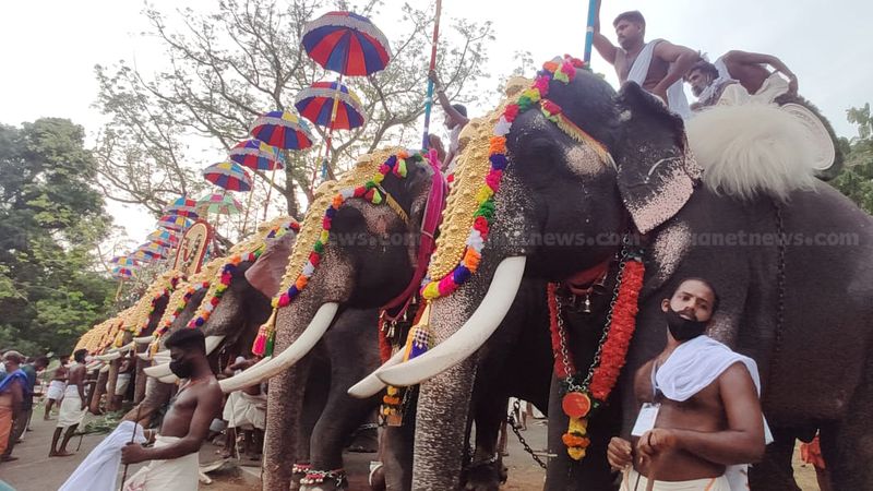 Kerala: Forest department issues instructions on Thrissur Pooram; Check rkn