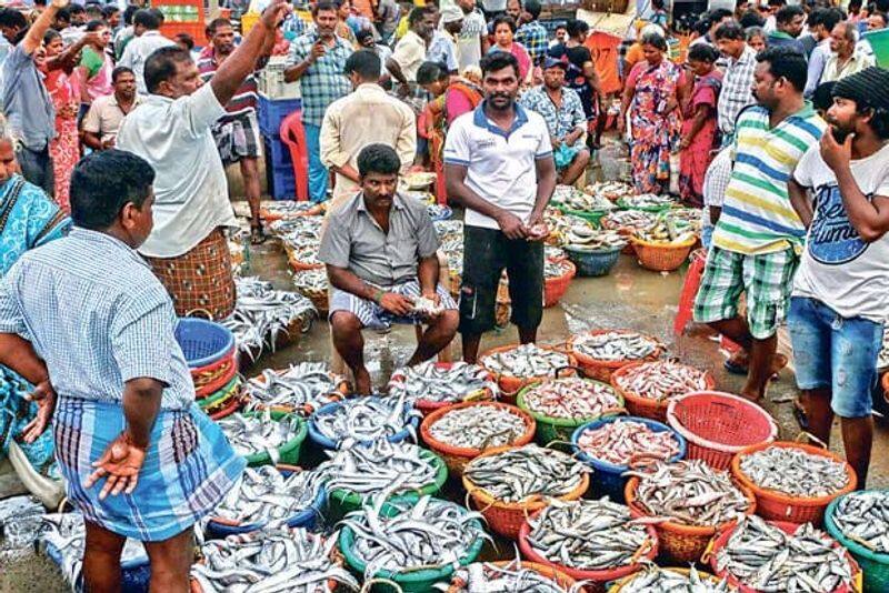 Fishermen are shocked because they are not getting the right price for their fish kak