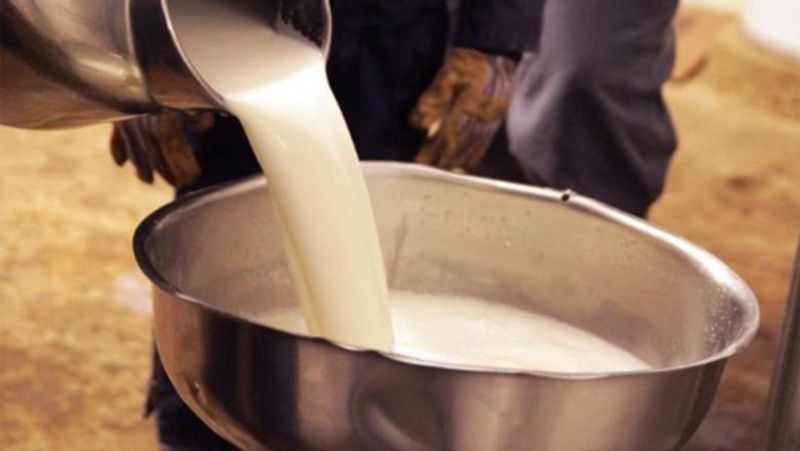 Unions Faces Problems due to Increase in Milk Production in Karnataka grg