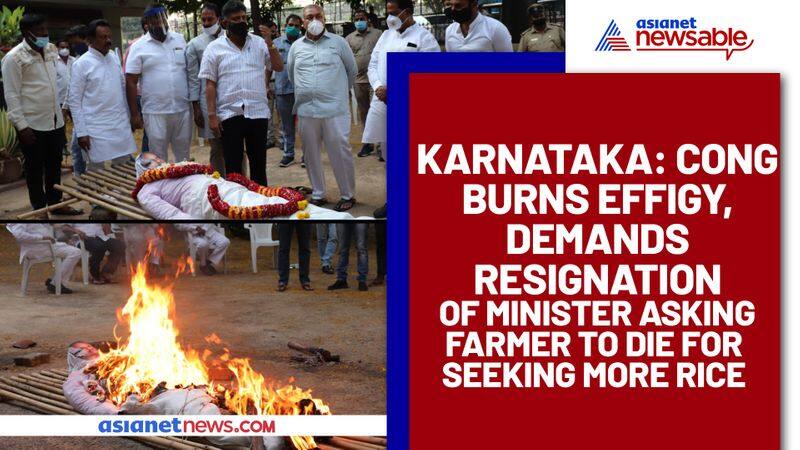 Karnataka Cong burns effigy, demands resignation of Minister asking farmer to die for seeking more rice - ycb