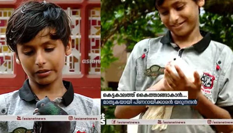 pigeon for sale CMDRF donation by 11 year old boy