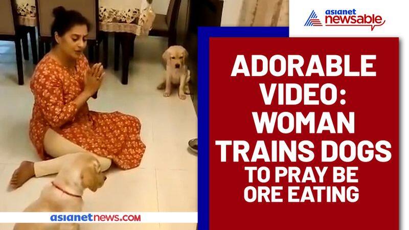 Mother of two dogs teaches her furry babies to pray before eating (Viral Video) - gps