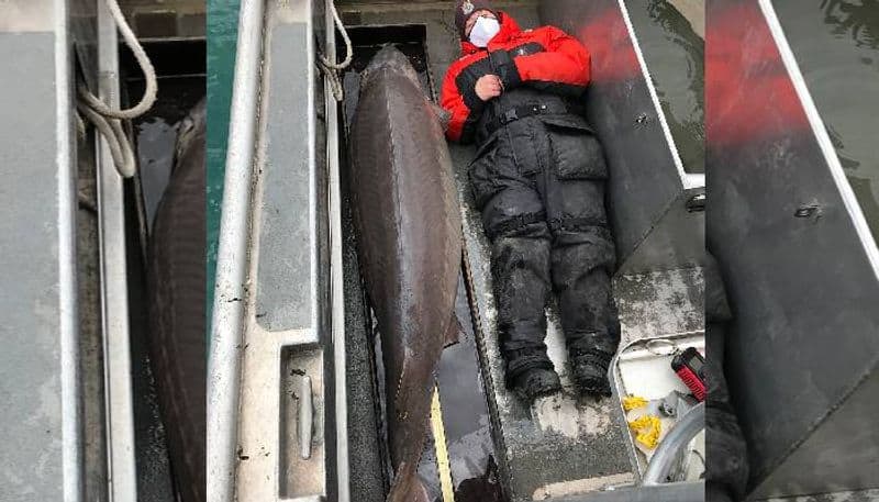 US Fisherman Catches 100 Year Old Fish River