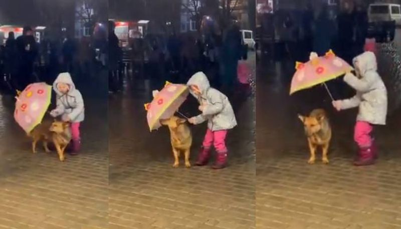 Girl protects dog from rain with her umbrella in viral video