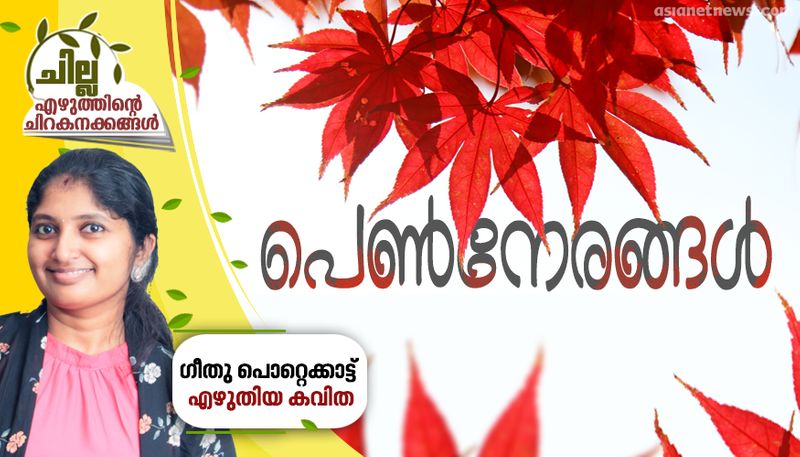 chilla malayalam poem by Geethu Pottekkat