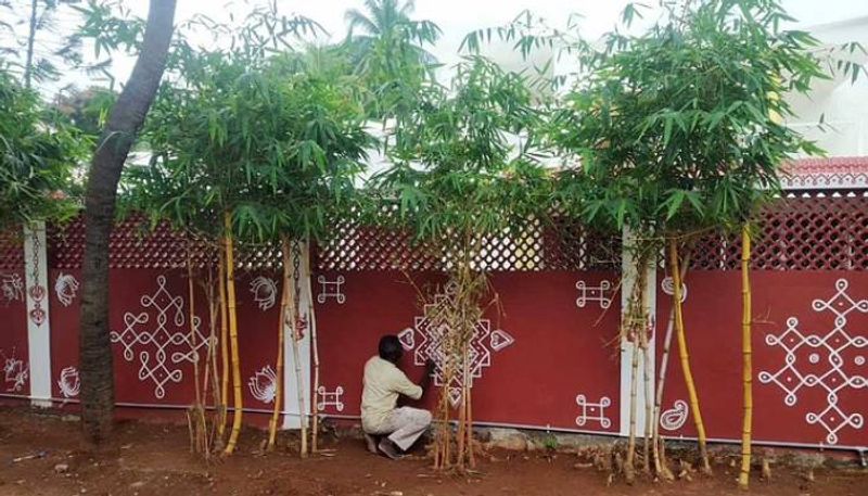 kolams in compound wall