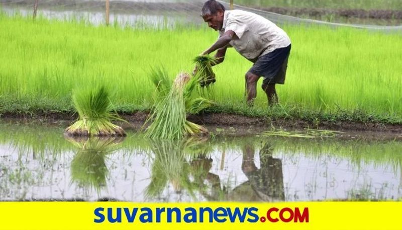 Monsoon likely to hit Kerala on June 1st snr