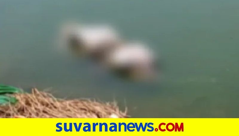 Young Man Deadbody Found in River at Bilagi in Bagalkot grg