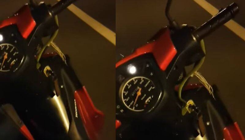 video in which snake on bike handle