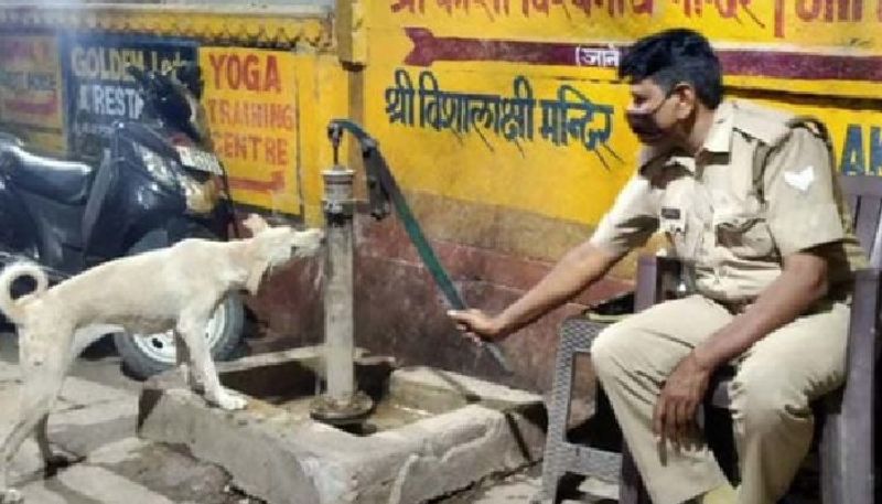 heart touching photo in which cop helps a street dog to get water