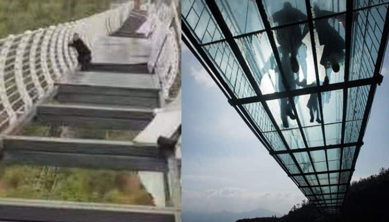 tourist left dangling from bridge after glass breaks