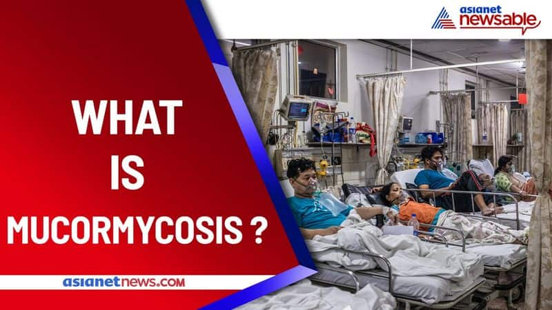 What Is Mucormycosis Symptoms Treatment