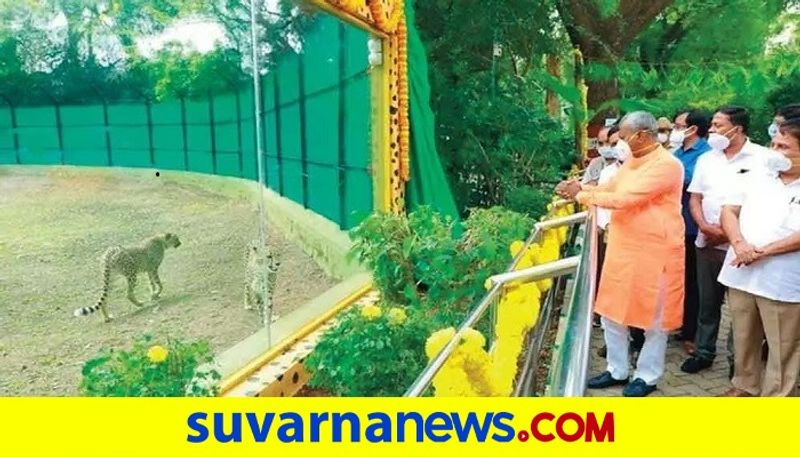 Minister ST Somashekar Visits Mysuru zoo Over Corona rbj