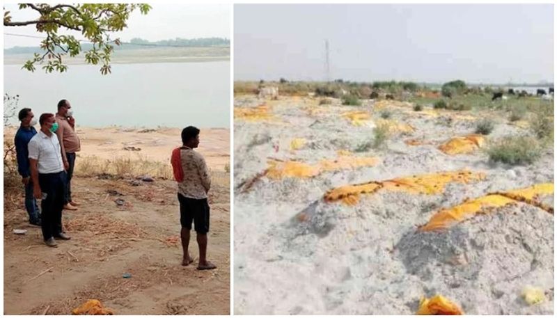 panic among locals after dead bodies buried on banks of ganga in up unnao