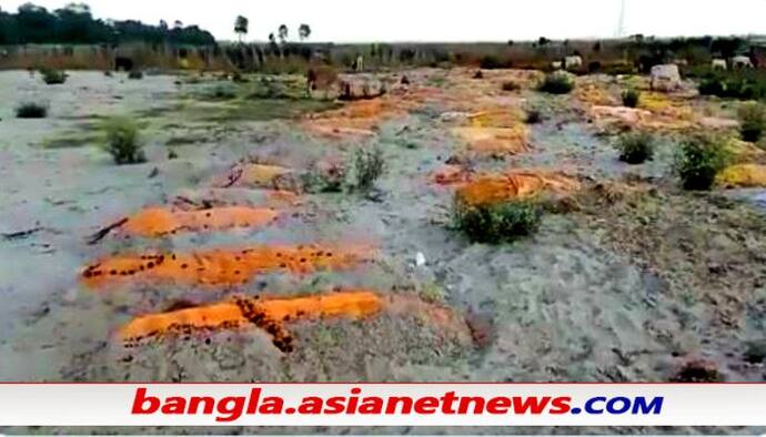 গঙ্গার পাড়ে বালিতে পোতা সার সার দেহ - দুর্গন্ধে ছেয়েছে এলাকা, ছড়াচ্ছে কোভিড আতঙ্ক, দেখুন