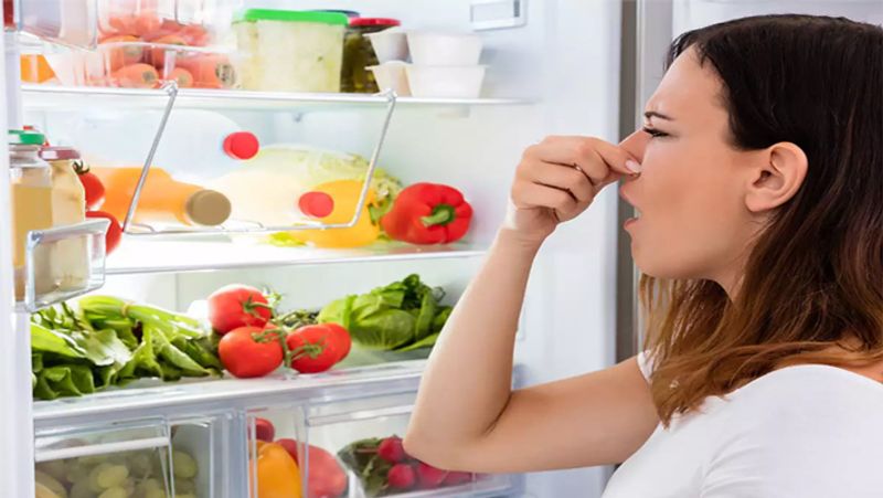 Easy Tips To prevent Food From Spoiling In summer 