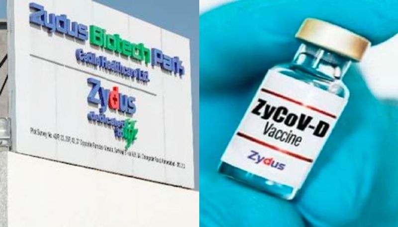 India vaccination boost: Centre places order for 1 crore doses of Zydus Cadila's needle-free COVID vaccine-dnm