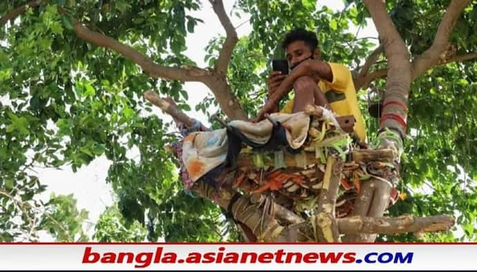 কোভিড-এ বেআব্রু গ্রমীণ ভারত, গাছেই আইসোলেন ওয়ার্ড বানালেন করোনা আক্রান্ত