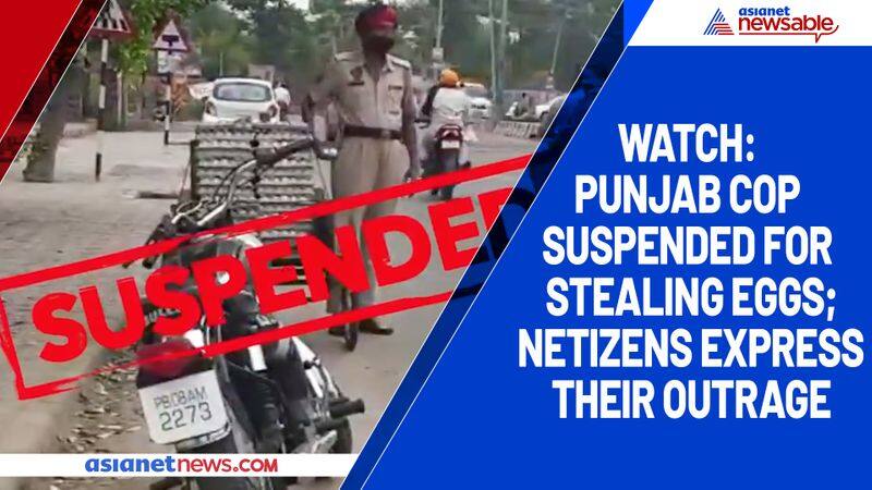 Watch Punjab cop suspended for stealing eggs; netizens express their outrage-tgy