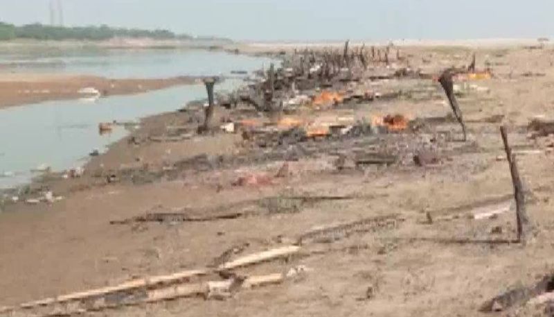 Bodies found buried in sand on banks of Ganga in UPs Prayagraj