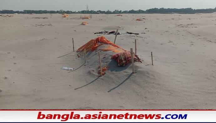 পবিত্র প্রয়াগরাজ যেন 'সমাধিস্থল', গঙ্গার চরে শতাধিক দেহ ঘিরে প্রবল চাঞ্চল্য