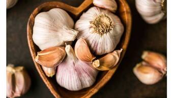 Health benefits of garlic for runners: Run better by adding this bulb to your diet