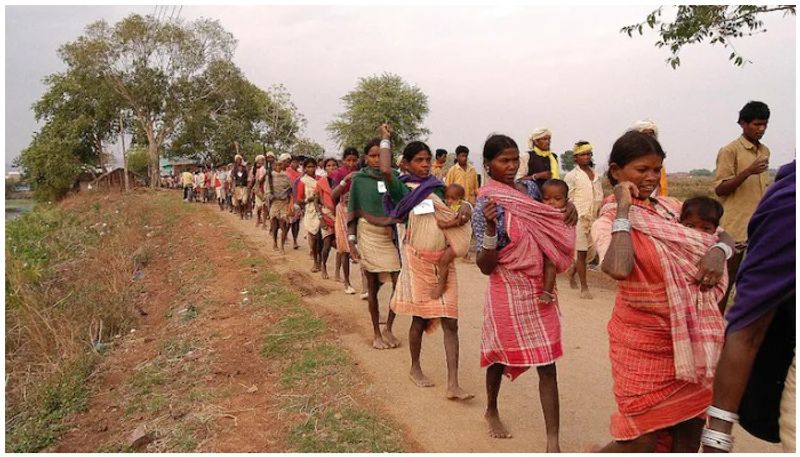 tribal groups test Covid positive in Odisha