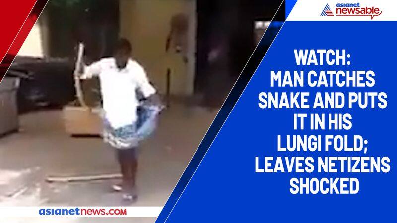 Watch Man catches snake and puts it in his lungi fold; leaves netizens shocked-tgy