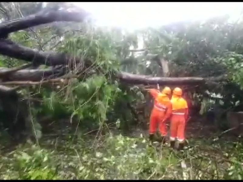 <p>Since yesterday, Cyclone Tauktae has created havoc in many areas of Mumbai. Several trees were uprooted due to the speedy winds, accompanied with heavy rainfall. </p>
<p>Since yesterday, Cyclone Tauktae has created havoc in many areas of Mumbai. Several trees were uprooted due to the speedy winds, accompanied with heavy rainfall. </p>