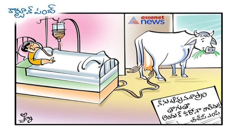 cartoon punch on Cow urine cures Covid says BJP MP ksp