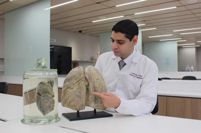 Bacteria, viruses, and fungi work as a network in causing lung infection: NTU Singapore study