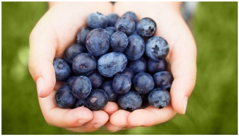 know the health benefits of blueberry -rse- 