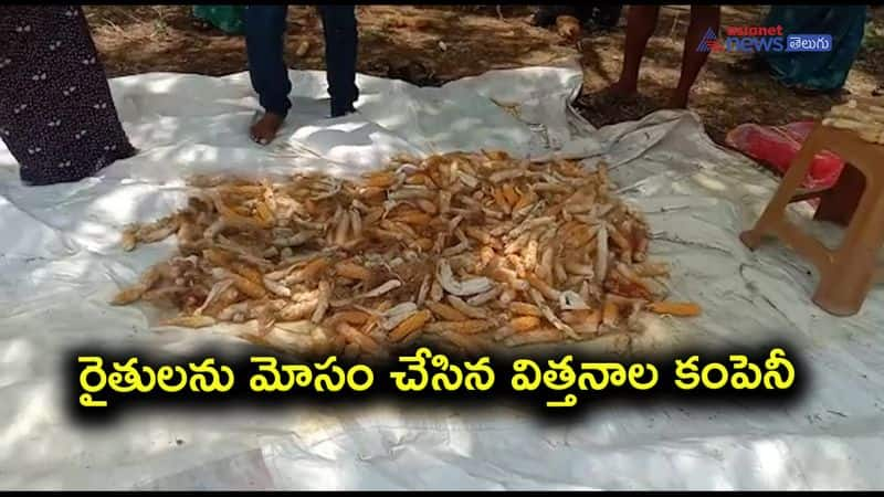 Agitation of maize farmers in Guntur district