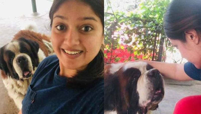 meghna raj post about death of her pet dog