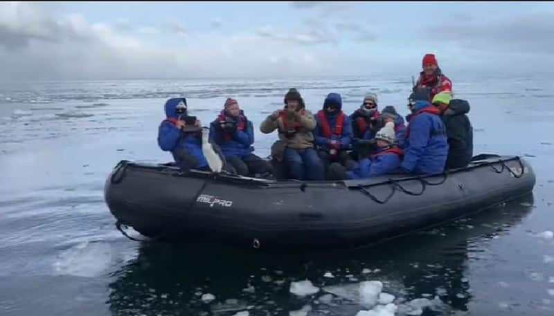 video in which baby penguin jumps into tourist boat