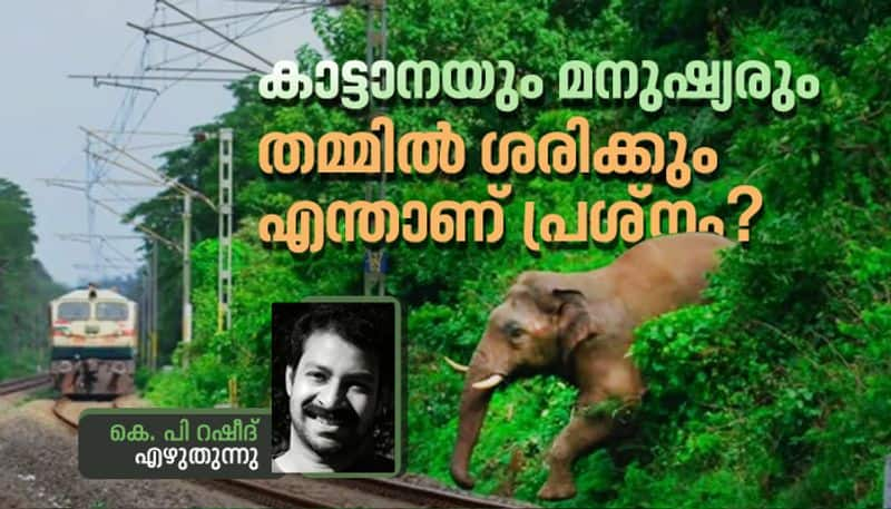 reveiw of Nadodikal a documentary on man wild elephant conflicts by KP Rasheed