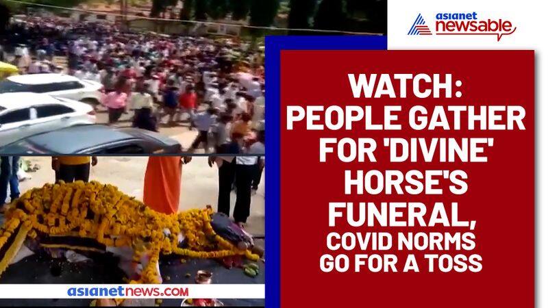 Hundreds took part in funeral of 'Divine Horse', Flouted COVID-19 rules in Karnataka - gps