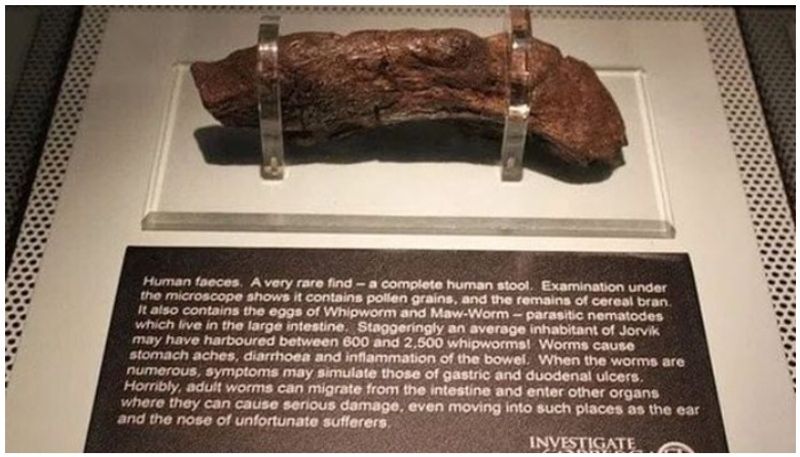 UK Museum displays Worlds largest known human poop which is 20 CM long