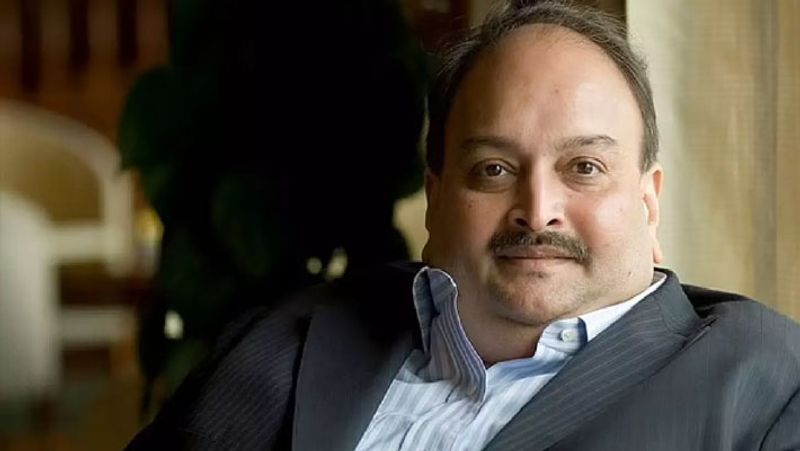 Mehul Choksi goes missing in Antigua says report pod